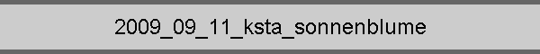 2009_09_11_ksta_sonnenblume