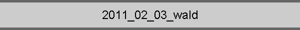 2011_02_03_wald