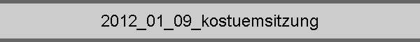 2012_01_09_kostuemsitzung