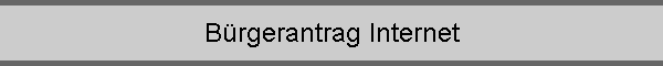 B�rgerantrag Internet