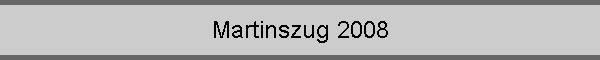 Martinszug 2008