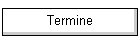 Termine